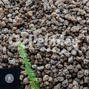 Scoria Charcoal 20mm Natural Pebble